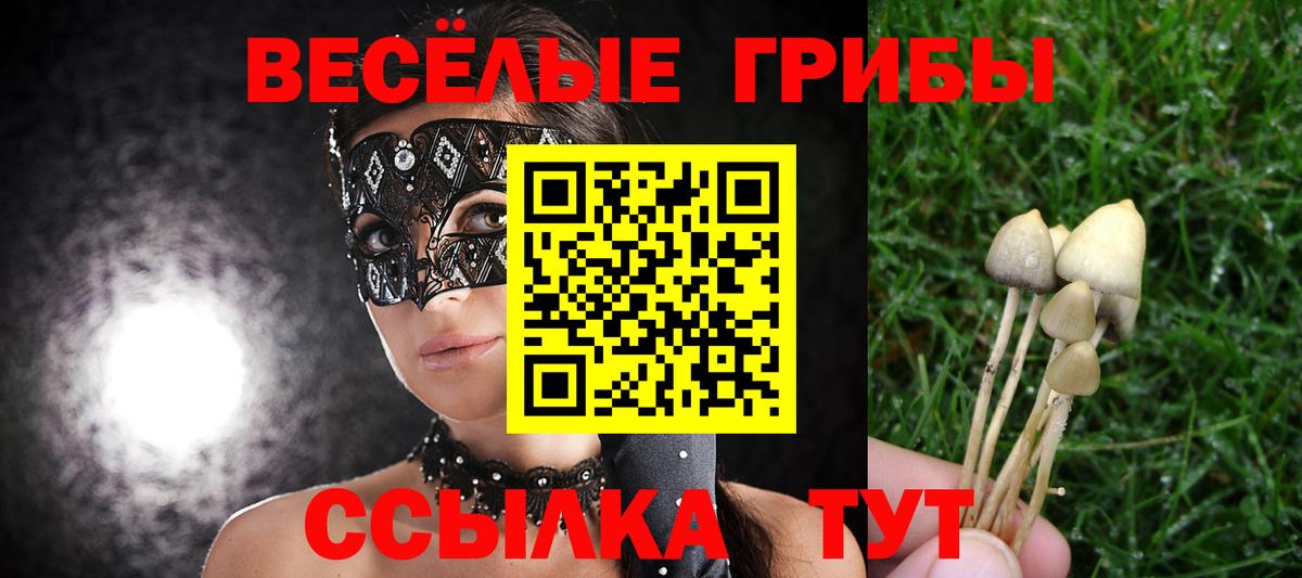 Сосновоборск  Псилоцибиновые грибы MAGIC MUSHROOMS  Вход с VPN 